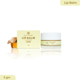 Ghee Lip Balm